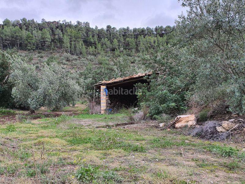Foto eecd3aea-c58f-4f3d-a492-2a5ab2507b23. Casa a Benifallet