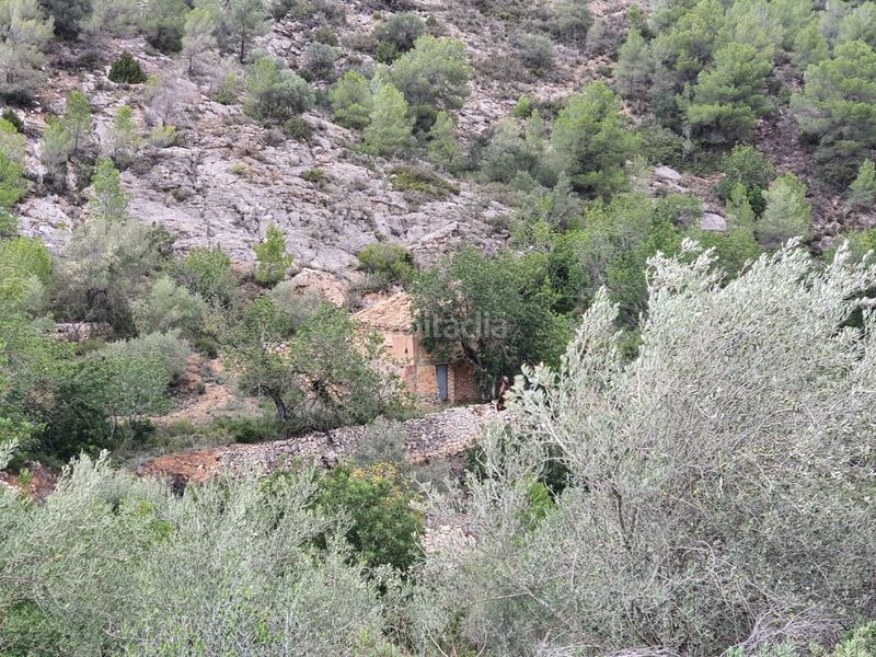 Foto f0464eb1-a0a2-45a6-a5ab-46898f796173. Casa a Benifallet