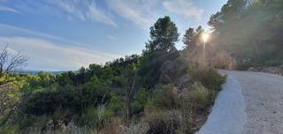 Residential Plot in Pinell de Brai (El)