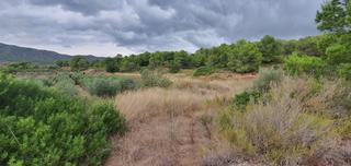 Rural plot in Pinell de Brai (El)