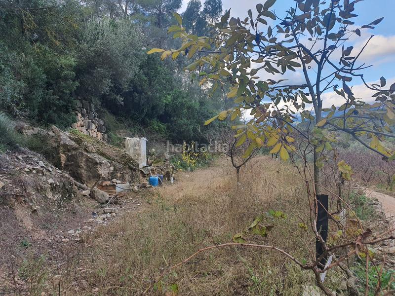 Foto 0518e964-faed-4780-97bc-88106d2a292c. Rural plot in Benifallet