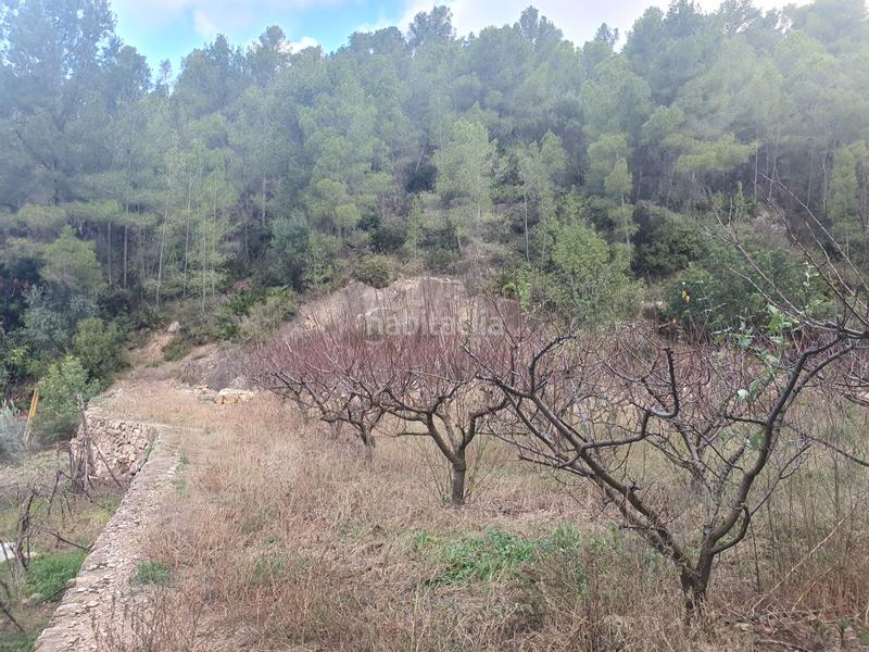 Foto 05a36489-6a5b-41da-b91e-a982b3c2ca41. Rural plot in Benifallet