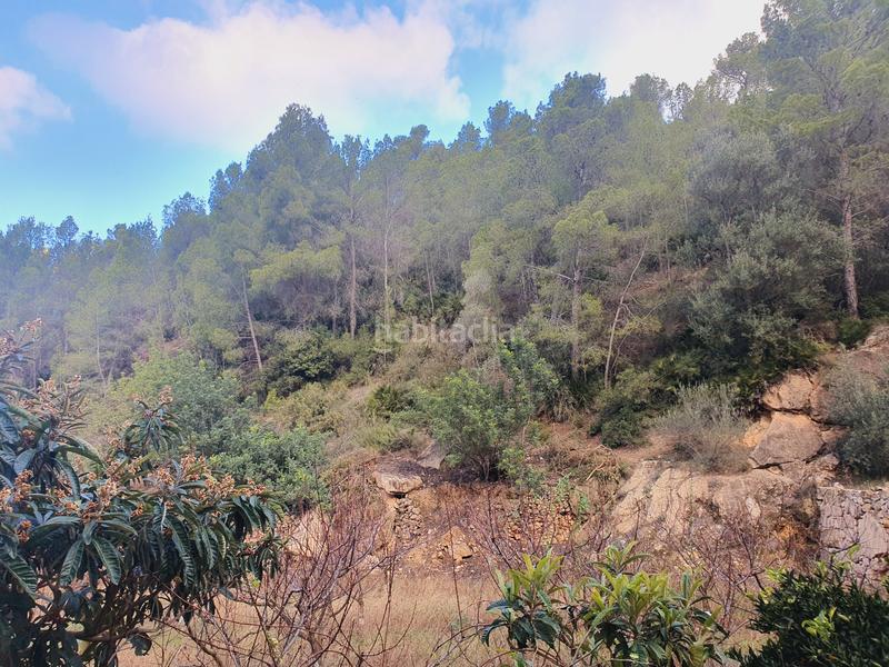 Foto 0d4bcbfb-c2f8-4d7b-8f1e-e05fe2d5ebc2. Rural plot in Benifallet