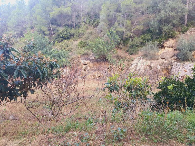 Foto 10356bc4-9b88-4e28-b224-f6a1cdbed2b3. Rural plot in Benifallet