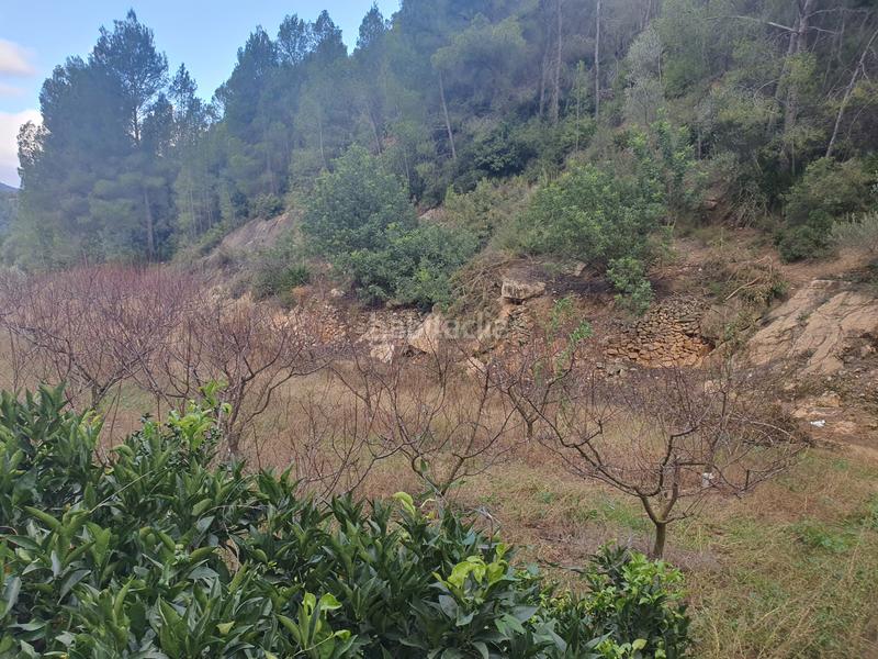 Foto 15cab2b2-ce48-41ca-94b2-d5e5916be581. Rural plot in Benifallet