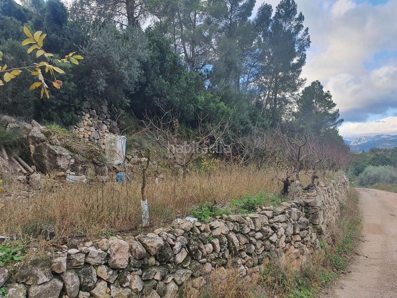 Foto 1eaf8736-79af-4cd5-b7be-e14076404ecc. Rural plot in Benifallet