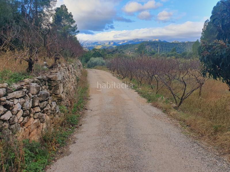 Foto 27f3a12e-b99b-4cc7-9bba-f70ad7be3c50. Rural plot in Benifallet