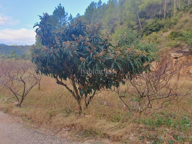 Foto 35b21600-2c69-4bbc-9fcc-48beeb307cd4. Rural plot in Benifallet