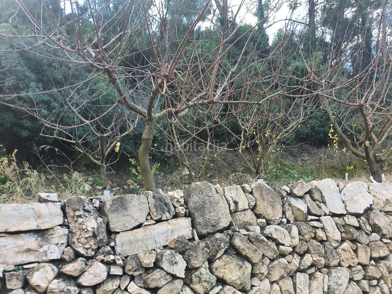 Foto 36e67597-04cb-47dd-afb0-7b3f646a4037. Rural plot in Benifallet