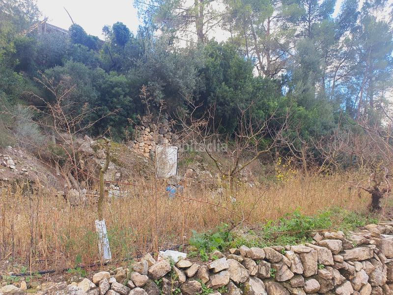 Foto 3f2c77fb-c440-4fe9-8639-bb27c6c93307. Rural plot in Benifallet