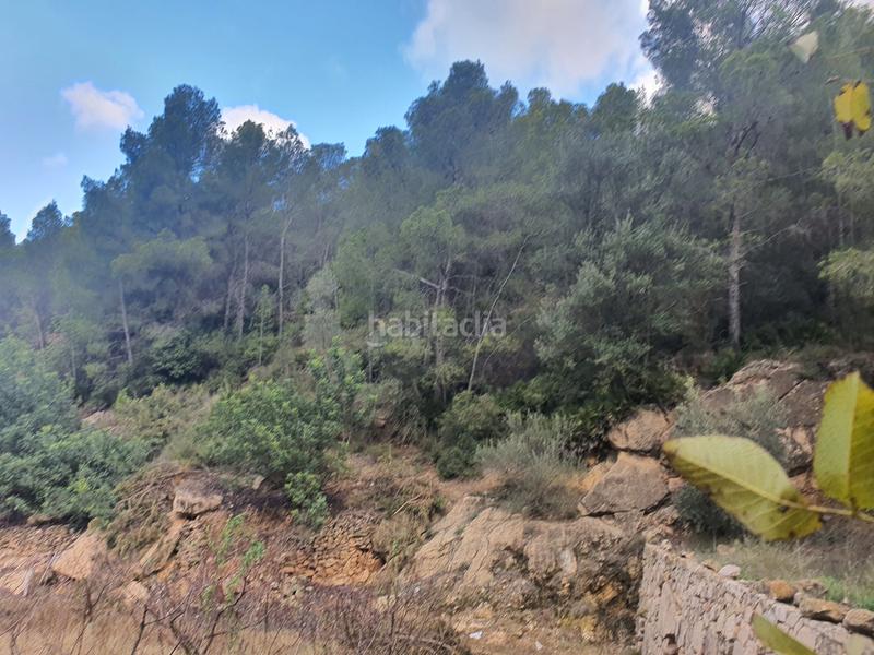 Foto 8087ff2e-aff6-4af9-a111-b034807ce6e4. Rural plot in Benifallet