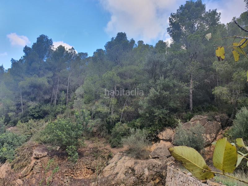 Foto 88720575-e8c9-4c91-a64d-a9d6c1d4f23e. Rural plot in Benifallet