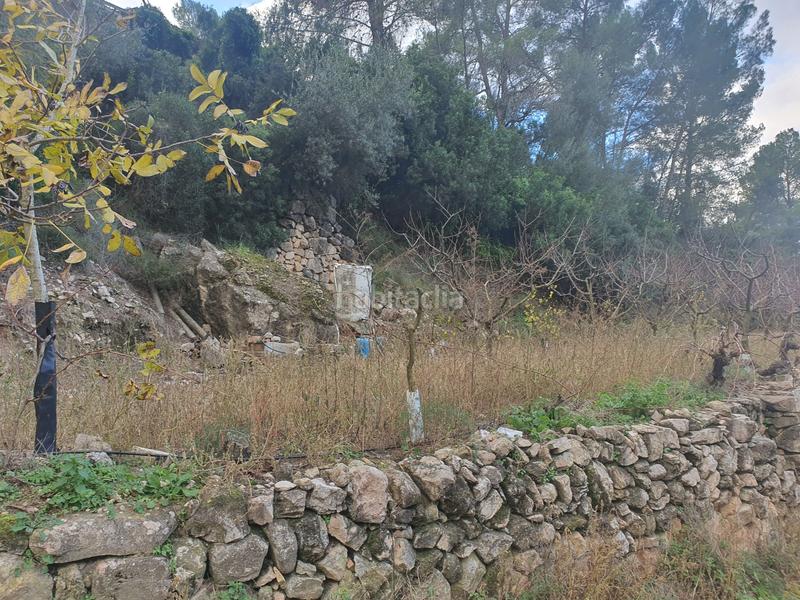 Foto 9167ccbd-936c-40d0-bd84-a208994b3a76. Rural plot in Benifallet