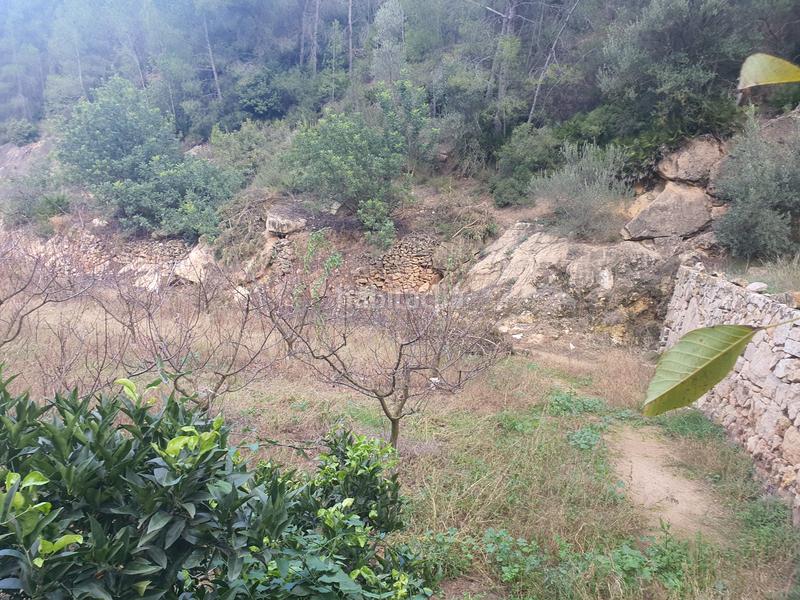 Foto a0dcbdd7-a02b-4ad8-97d3-d0ff8971627a. Rural plot in Benifallet