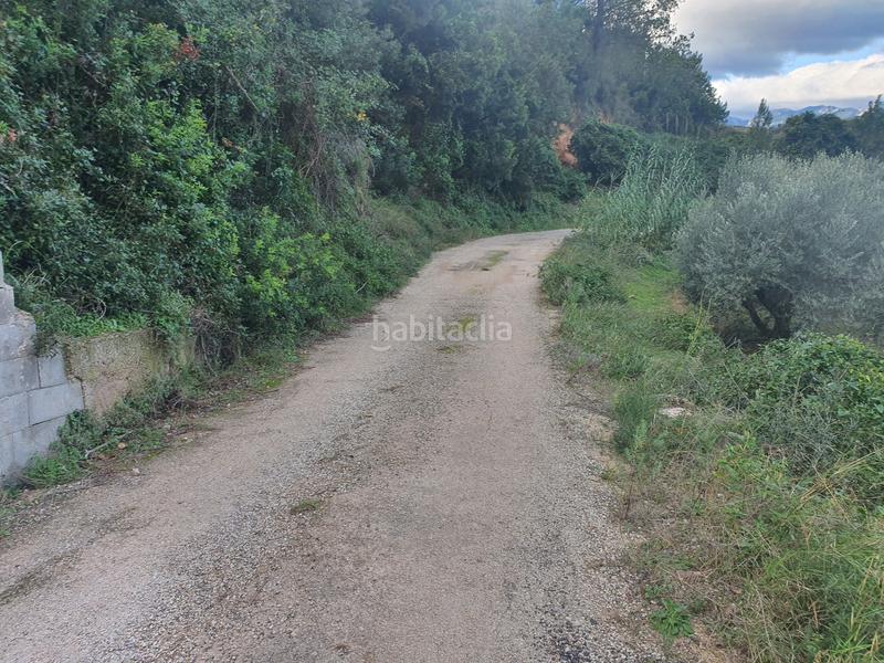 Foto b6e737bd-1566-44d1-af65-a1b9f6437f38. Rural plot in Benifallet