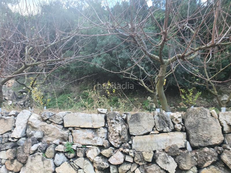 Foto c63c5073-658c-4122-b472-d8b654dd0be5. Rural plot in Benifallet