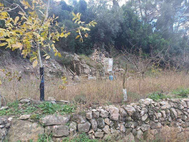 Foto db185aab-46c5-4855-8605-e4a48503e2b8. Rural plot in Benifallet