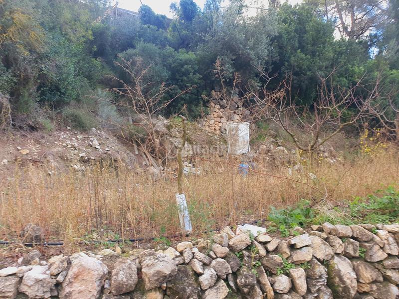 Foto de4c472a-c370-4afc-a5f9-54181167f7ac. Rural plot in Benifallet