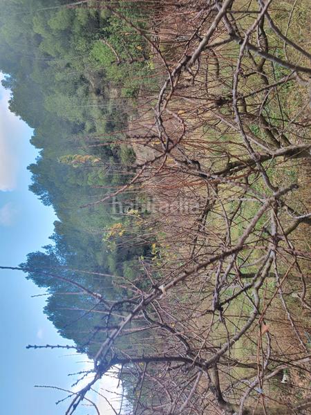 Foto f7086e99-e9be-489c-b038-98a388c90929. Rural plot in Benifallet