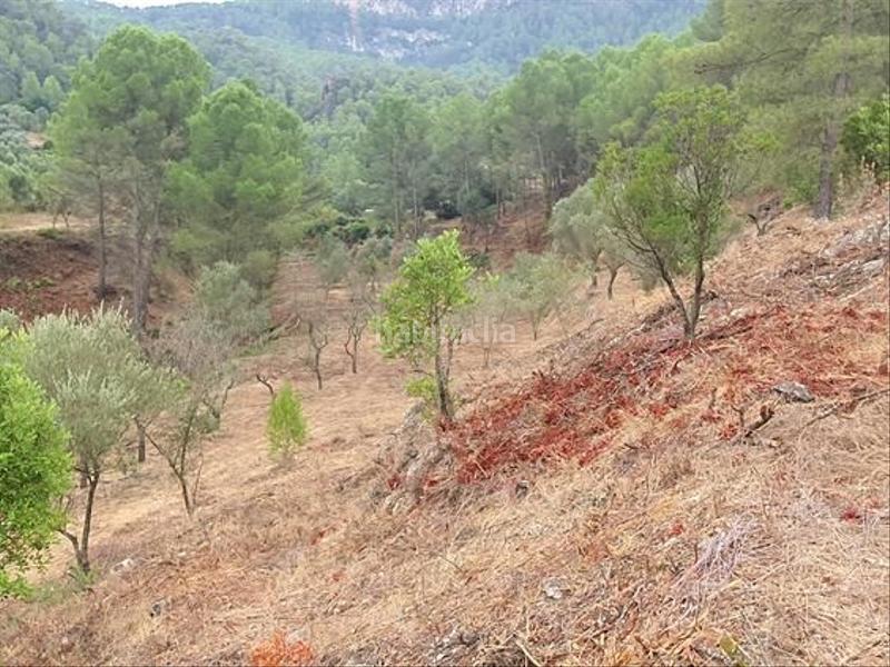 Foto 4500113c-bca1-4161-9735-a2e959e7a0a3. Casa en Benifallet