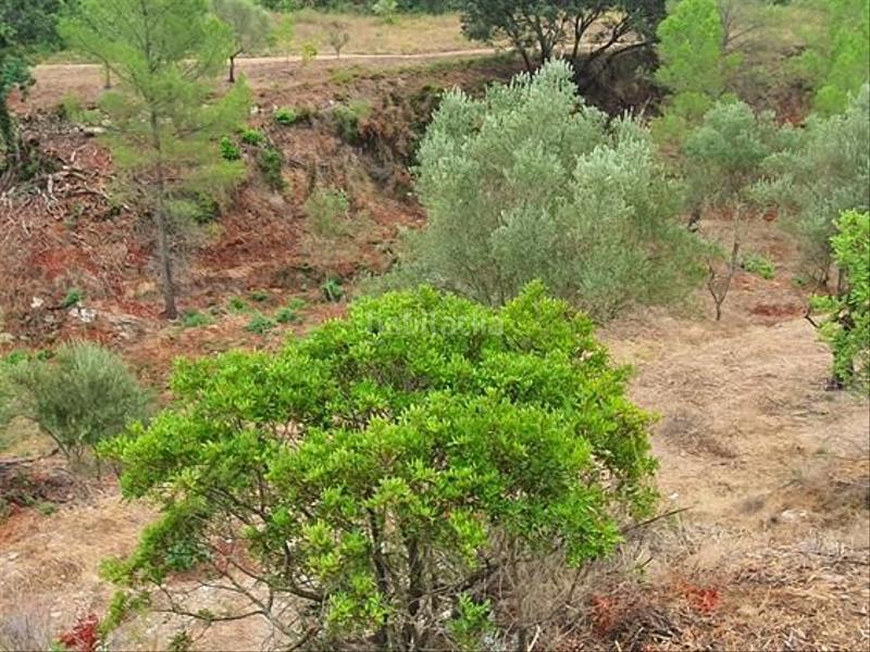 Foto e1c2afb8-3721-45b3-ab03-70ecf3d00909. Casa en Benifallet