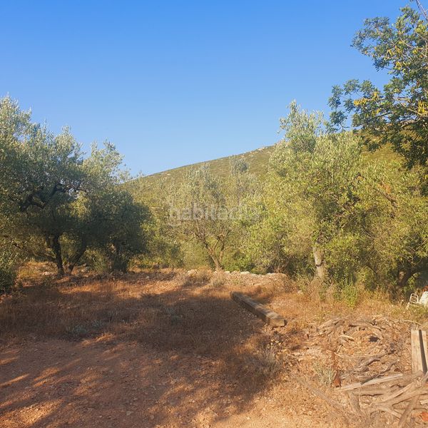 Foto 645dddfe-9a84-4d36-a861-72a61de6b07a. Finca rústica a Rasquera