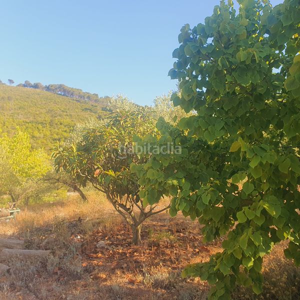 Foto 69277f23-6463-4e07-a9d2-dd1a803abfd7. Finca rústica a Rasquera