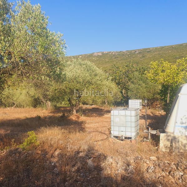 Foto ad839135-0ddb-4c2a-9dd0-447b428049f8. Finca rústica a Rasquera