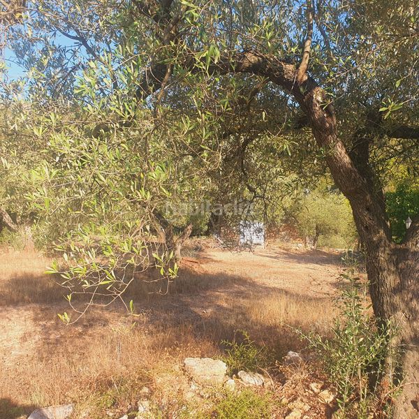 Foto bb0be328-3fb4-4669-8b85-aaeb2eee3e8b. Finca rústica a Rasquera