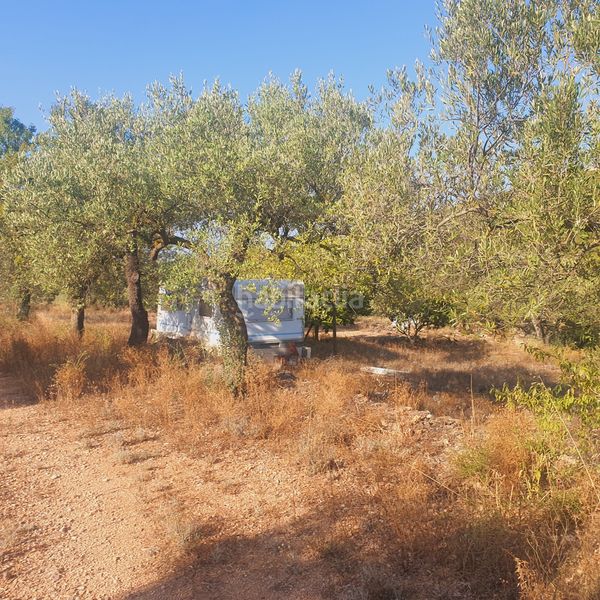 Foto c3adbe6c-0ce8-40b5-a2da-95ec62b49bef. Finca rústica a Rasquera