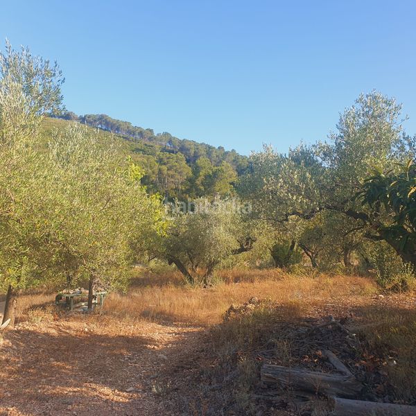 Foto c8011523-21a2-4954-9026-418b295498ef. Finca rústica a Rasquera