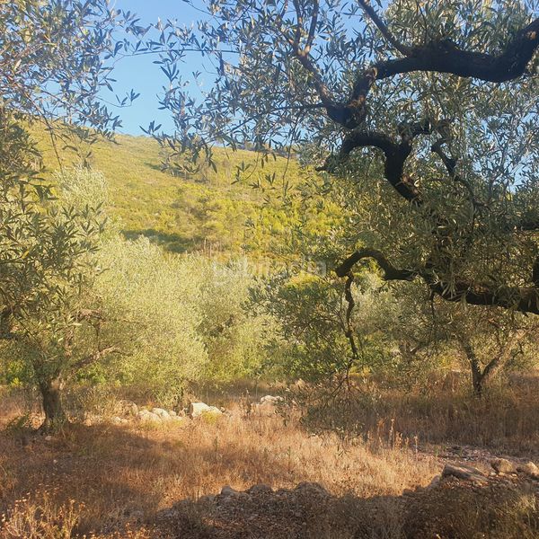 Foto d3dd5734-2305-452f-9397-dcc827a492f1. Finca rústica a Rasquera