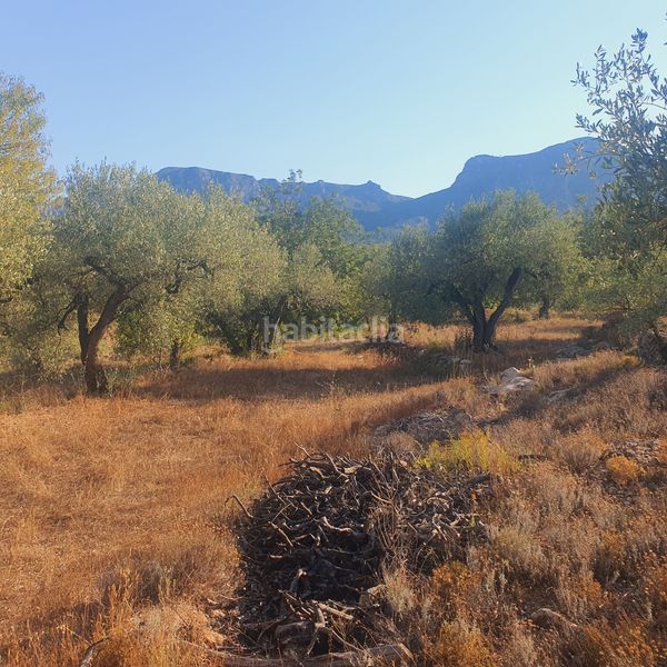 Foto dbb0b827-b273-4f7e-ac9c-8b8169e15483. Finca rústica a Rasquera