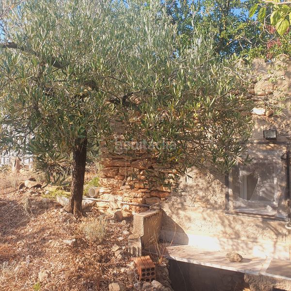 Foto f7a2072b-d4be-4263-b3b9-84500c2de150. Finca rústica a Rasquera