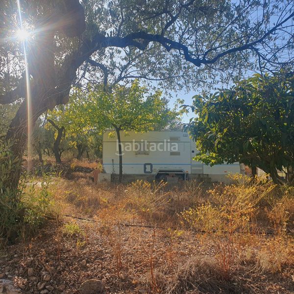 Foto f8ec31d3-015e-4e00-a16b-ea3538c6d910. Finca rústica a Rasquera