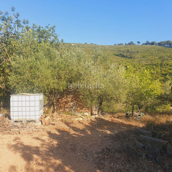 Foto fa4fb78e-7bfb-4dd0-b22d-2a2e5232eea3. Finca rústica a Rasquera