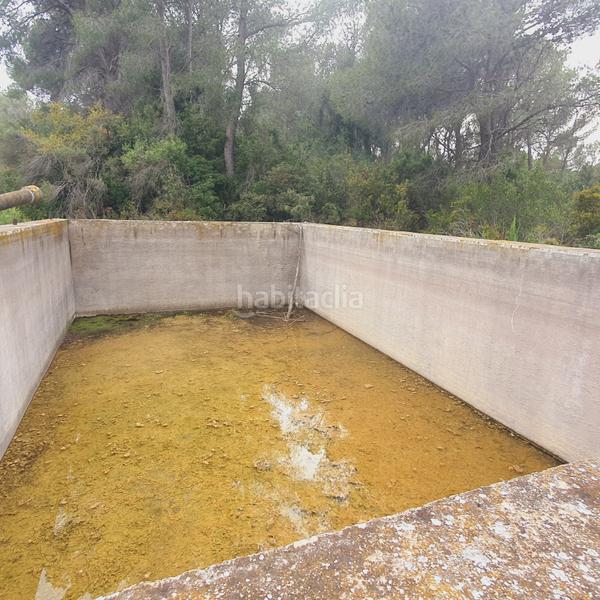 Foto 219aaaca-151c-4b80-b5bd-972b272db4e0. Fondo rustico in Benifallet