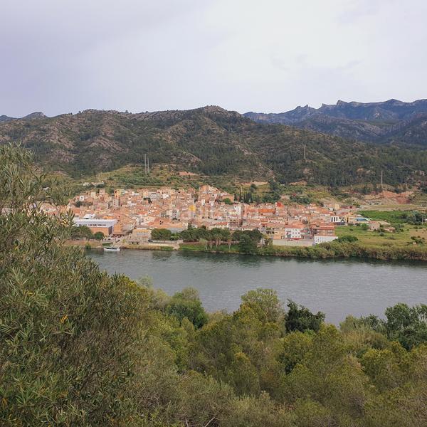 Foto 32fb75c7-0772-4108-a4f5-c00d1be8dd1b. Fondo rustico in Benifallet