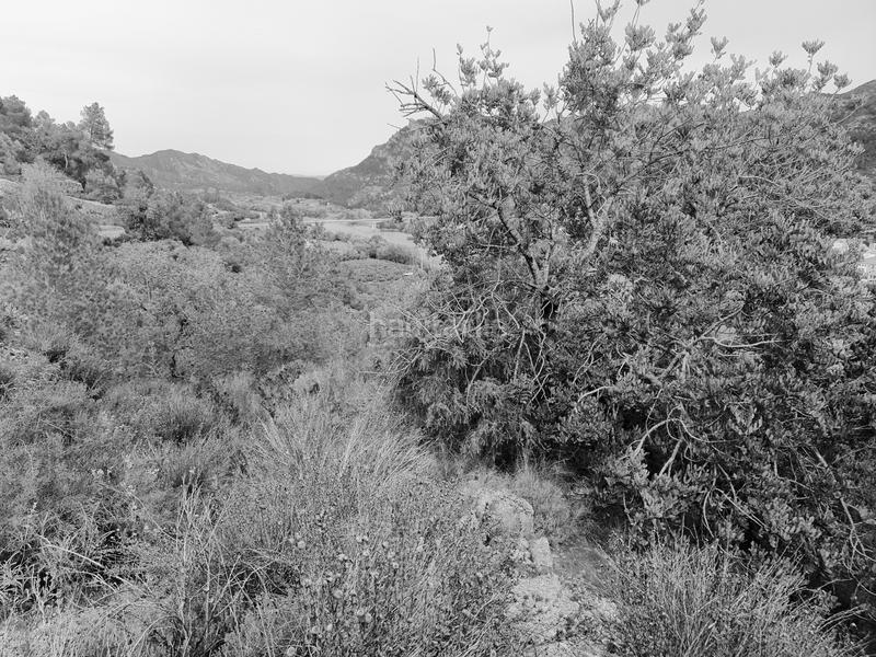 Foto 48c613b1-e27e-4f96-aaa3-9bda4db73016. Fondo rustico in Benifallet