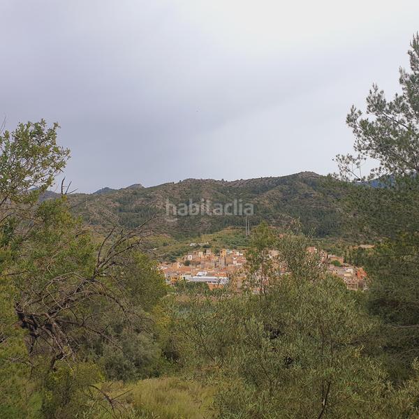 Foto 50aae53d-1c76-4495-81aa-8d8fbac74ea2. Fondo rustico in Benifallet