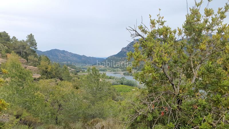 Foto 553be084-06a7-462a-9da1-26a7dd6d5ae5. Fondo rustico in Benifallet