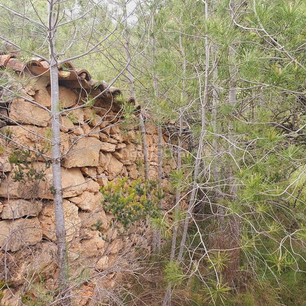 Foto 932cc0bc-fde4-4d58-9d63-6b8c288e8dac. Fondo rustico in Benifallet