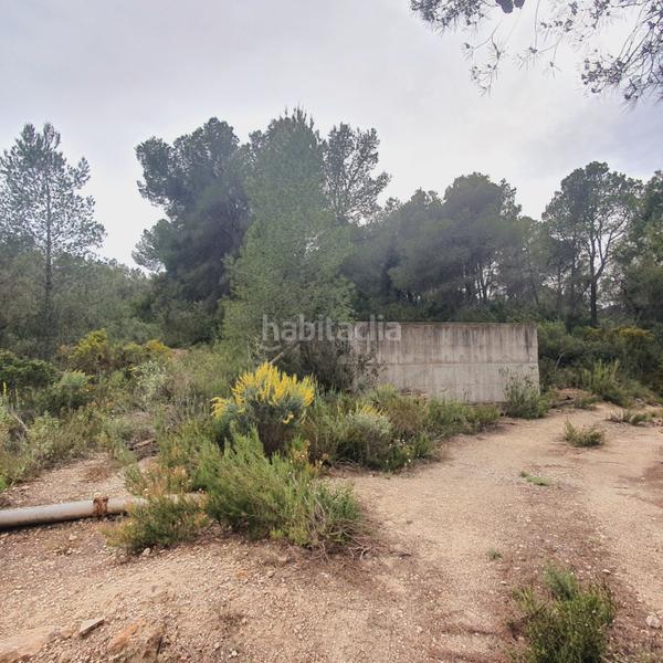 Foto a24468b7-84cd-4694-a4b8-e2aeb755f6a1. Fondo rustico in Benifallet