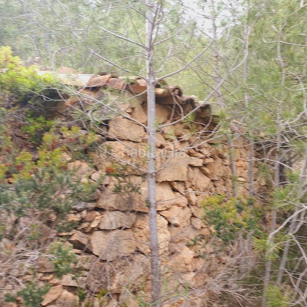 Foto cfcb1f08-3a4c-4944-8072-5b37678a1a82. Fondo rustico in Benifallet