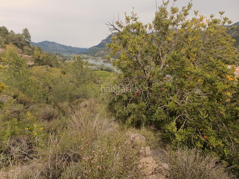 Foto d07dfa2f-058f-4df7-b331-2906b925425f. Fondo rustico in Benifallet