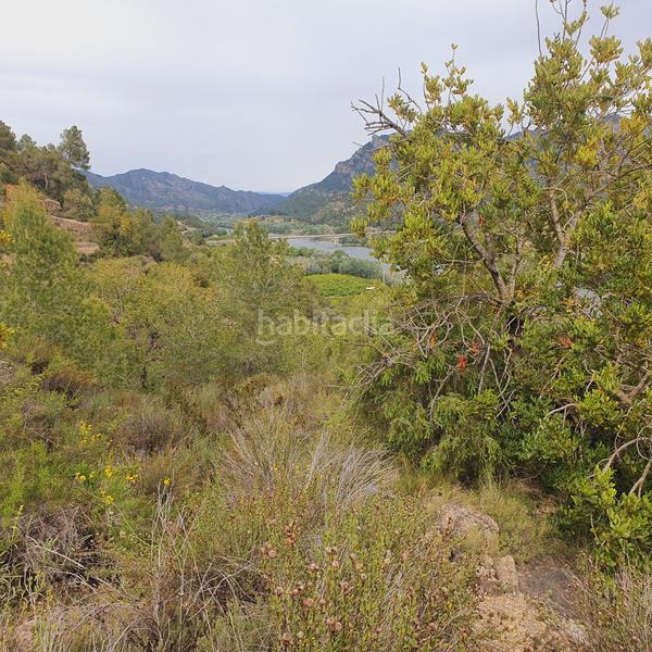 Foto d0ccd8d6-d5c2-4c91-8c7a-7ce2e16a79a8. Fondo rustico in Benifallet