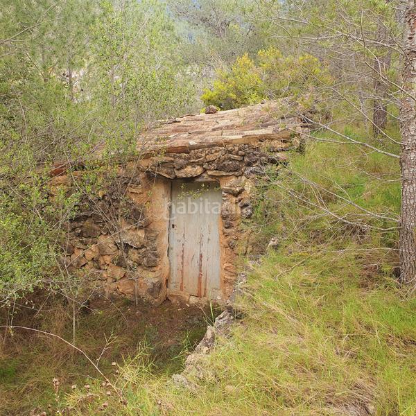 Foto d95998dc-5870-4831-ae95-c8437861bafd. Fondo rustico in Benifallet