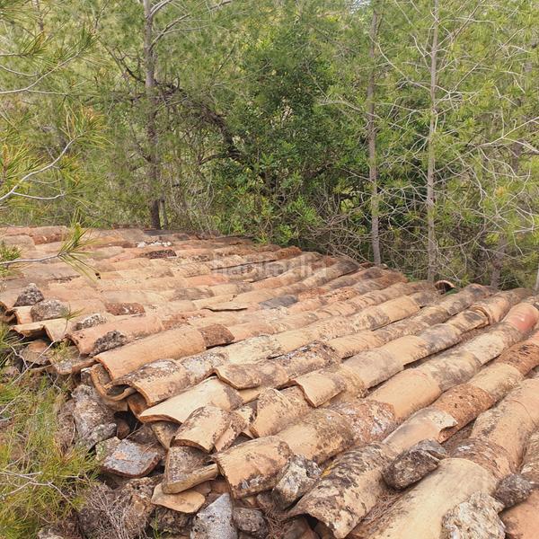 Foto e1127874-fd14-4a7f-9132-c50c55ee2116. Fondo rustico in Benifallet