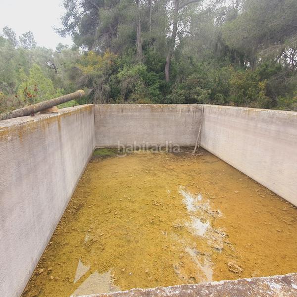 Foto e710a1e4-de54-43d9-9051-de77624b07e4. Fondo rustico in Benifallet