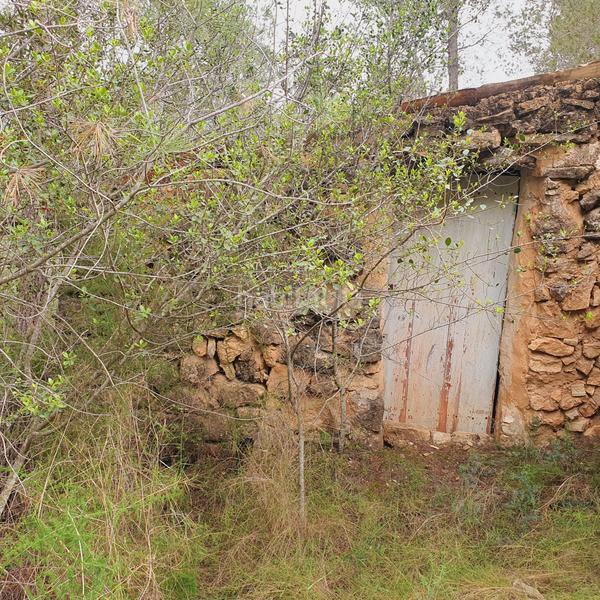 Foto 002a323c-0631-4df7-8609-26c9a5d329bc. Rural plot in Benifallet